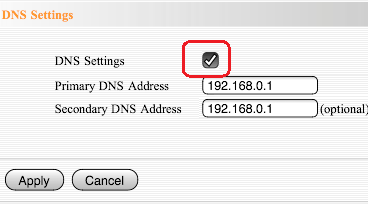 Router DNS Settings