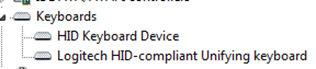 Windows 7 Device Manager, Keyboard Devices